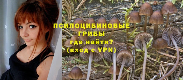 мескалин Бородино