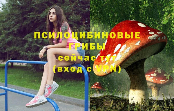 мескалин Бородино