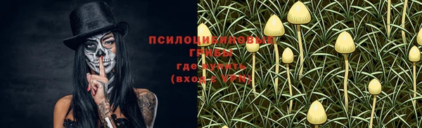 jwh Бронницы
